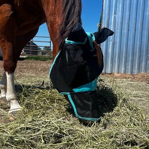 NWT Weatherbeeta fly mask